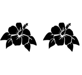 Summer Hibiscus by PraewDesigns — Dingbats Font — thumbnail 8