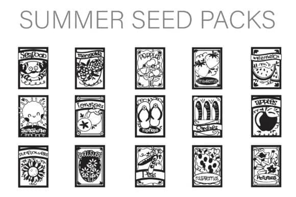Summer Seeds Dingbats by Illustration Ink — Dingbats Font