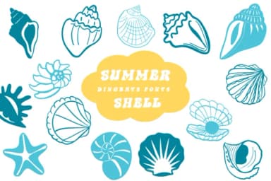 Summer Shell by Suphitchaya — Dingbats Font — thumbnail 1