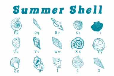 Summer Shell by Suphitchaya — Dingbats Font — thumbnail 3