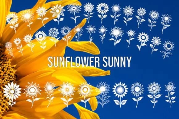Sunflower Sunny by MOMAT THIRTYONE — Dingbats Font