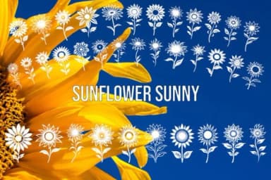 Sunflower Sunny by MOMAT THIRTYONE — Dingbats Font — thumbnail 1