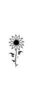 Sunflower Sunny by MOMAT THIRTYONE — Dingbats Font — thumbnail 8