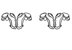 Super Bowl by Suphitchaya — Dingbats Font — thumbnail 8