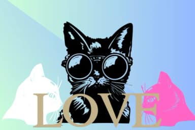 Super Cat by KinnareeART — Dingbats Font — thumbnail 5