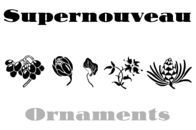 Supernouveau by Intellecta Design — Dingbats Font — thumbnail 4
