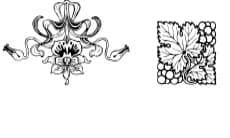 Supernouveau by Intellecta Design — Dingbats Font — thumbnail 6