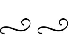 Swirl Flourishes by PraewDesigns — Dingbats Font — thumbnail 8