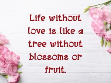 Sylvie by Pukka De — Slab Serif Font — thumbnail 3