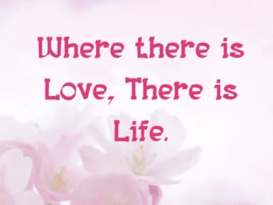 Sylvie by Pukka De — Slab Serif Font — thumbnail 4