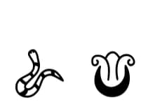 Tattoos by YandiDesigns — Dingbats Font — thumbnail 5