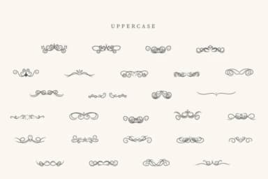 Teacher Divider by CraftedType Studio — Dingbats Font — thumbnail 2