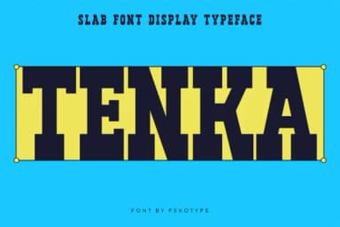 Tenka by pekotype — Slab Serif Font — thumbnail 1