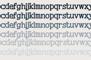 Textbook by Illustration Ink — Slab Serif Font — thumbnail 5