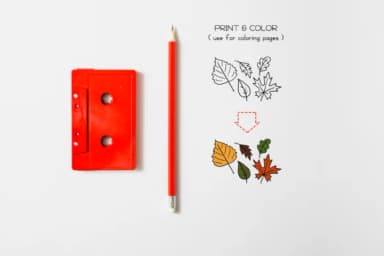 Thanksgiving by WADLEN — Dingbats Font — thumbnail 8
