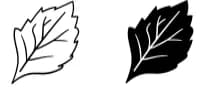 The Leaves by WADLEN — Dingbats Font — thumbnail 8