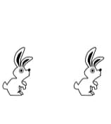 The Wild by Illustration Ink — Dingbats Font — thumbnail 7