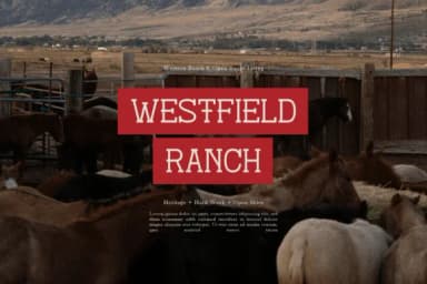 Therodit by Gracetypestudio — Slab Serif Font — thumbnail 2