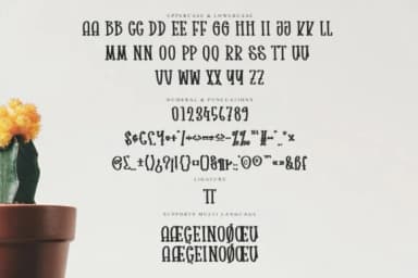 This Brick by YanStudio — Slab Serif Font — thumbnail 6