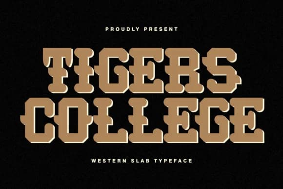 Tigers College by Almairatype Studio — Slab Serif Font