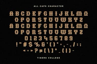 Tigers College by Almairatype Studio — Slab Serif Font — thumbnail 2
