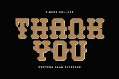 Tigers College by Almairatype Studio — Slab Serif Font — thumbnail 6