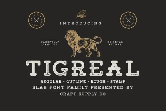 Tigreal Family by craftsupplyco — Slab Serif Font