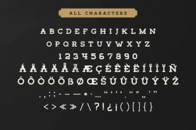 Tigreal Family by craftsupplyco — Slab Serif Font — thumbnail 2