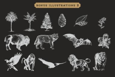 Tigreal Family by craftsupplyco — Slab Serif Font — thumbnail 4