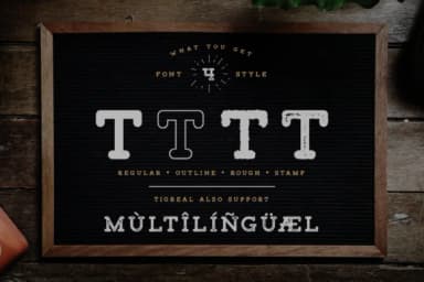 Tigreal Family by craftsupplyco — Slab Serif Font — thumbnail 5