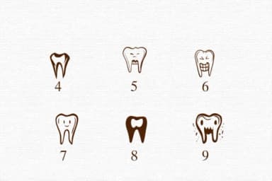 Tooth Bundle by Nongyao — Dingbats Font — thumbnail 4