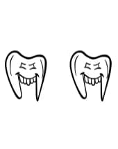 Tooth Bundle by Nongyao — Dingbats Font — thumbnail 8