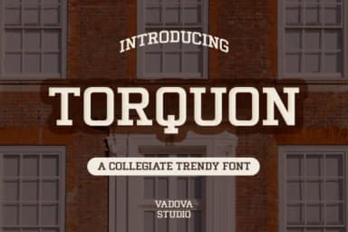 Torquon by Vadova Std — Slab Serif Font — thumbnail 2