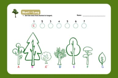 Tree Doodle by Suphitchaya — Dingbats Font — thumbnail 5