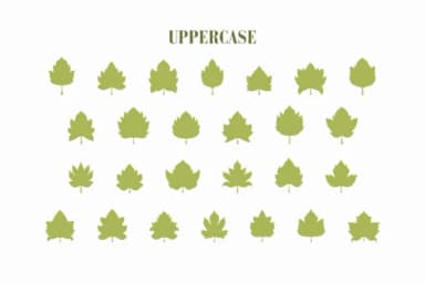 Tree Leaves by Eystore — Dingbats Font — thumbnail 2