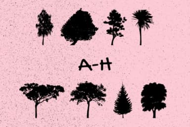 Trees by Minimalistartstudio — Dingbats Font — thumbnail 2