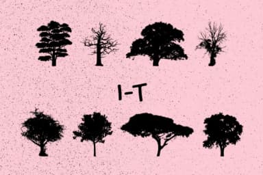 Trees by Minimalistartstudio — Dingbats Font — thumbnail 3