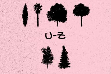 Trees by Minimalistartstudio — Dingbats Font — thumbnail 4