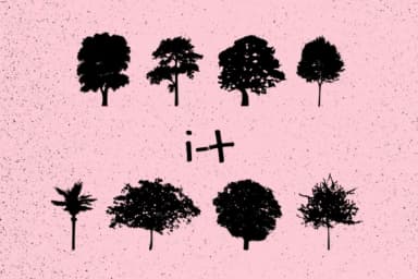 Trees by Minimalistartstudio — Dingbats Font — thumbnail 6