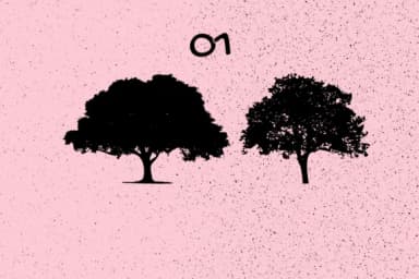 Trees by Minimalistartstudio — Dingbats Font — thumbnail 8