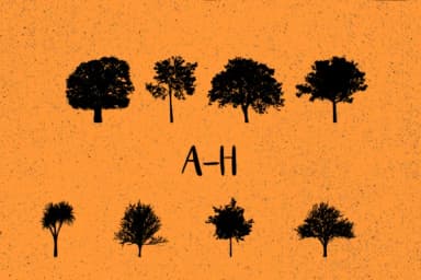 Trees 2.0 by Minimalistartstudio — Dingbats Font — thumbnail 2