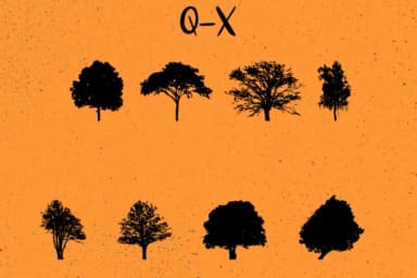 Trees 2.0 by Minimalistartstudio — Dingbats Font — thumbnail 4