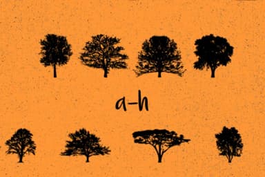 Trees 2.0 by Minimalistartstudio — Dingbats Font — thumbnail 6