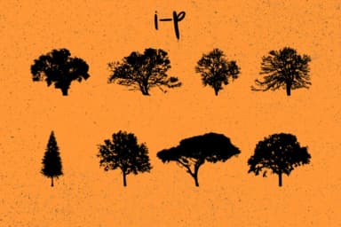 Trees 2.0 by Minimalistartstudio — Dingbats Font — thumbnail 7