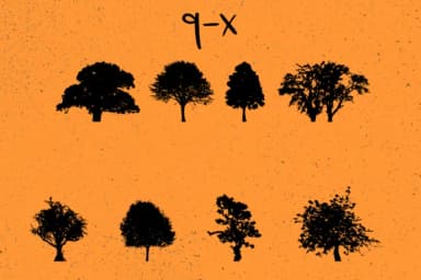 Trees 2.0 by Minimalistartstudio — Dingbats Font — thumbnail 8