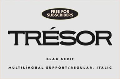 Trèsor by Minimalistartstudio — Slab Serif Font — thumbnail 1