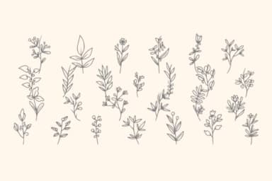 Tropical Garden by Intype Studio — Dingbats Font — thumbnail 2