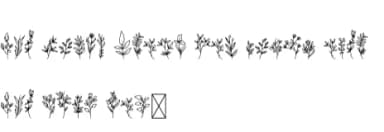 Tropical Garden by Intype Studio — Dingbats Font — thumbnail 5