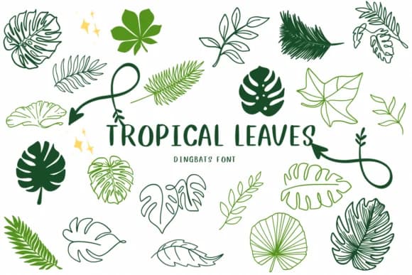 Tropical Leaves by CHANOK — Dingbats Font