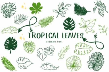 Tropical Leaves by CHANOK — Dingbats Font — thumbnail 1